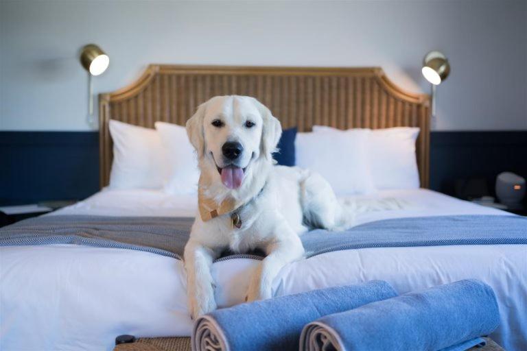 Wylder Hotel - Tilghman Island Ngoại thất bức ảnh